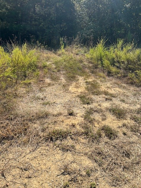 0 Lot 7 Catfish Cove Road Waterloo, SC 29384 - Photo 7 of 20 Gallery Image 7