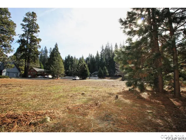a view of outdoor space with trees all around