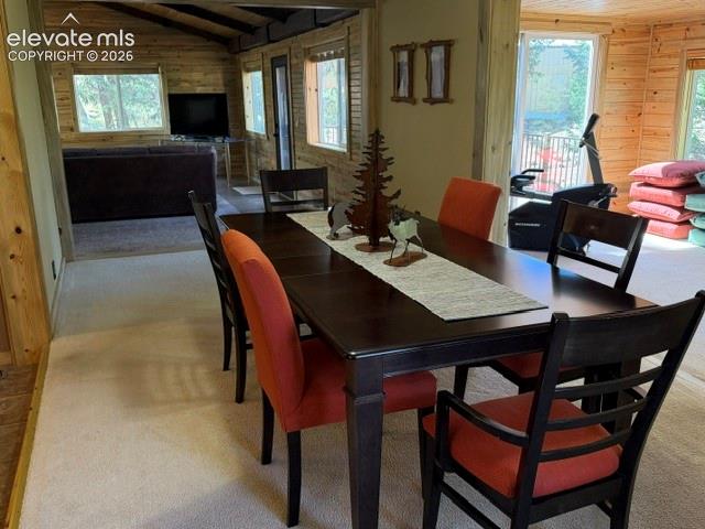 269 Southpark Road Florissant, CO 80816 - Photo 15 of 37