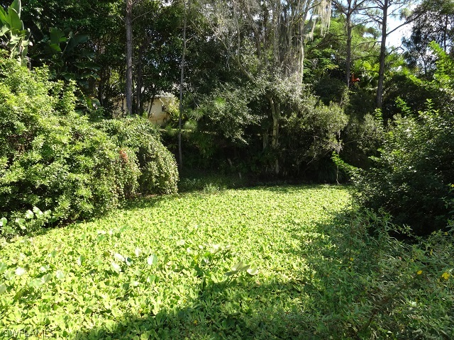 17537 Laurel Valley Road Fort Myers, FL 33967 - Photo 12 of 16 a view of outdoor space and yard