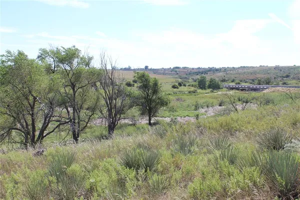 a view of a lush green forest with lots of trees