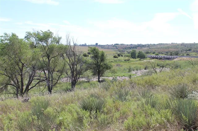 a view of a lush green forest with lots of trees