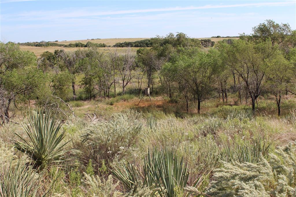Tbd Tbd 180th Memphis, TX 79245 - Photo 5 of 11 a view of a yard with a tree