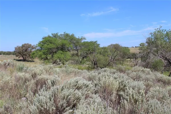 a view of a field of grass and trees