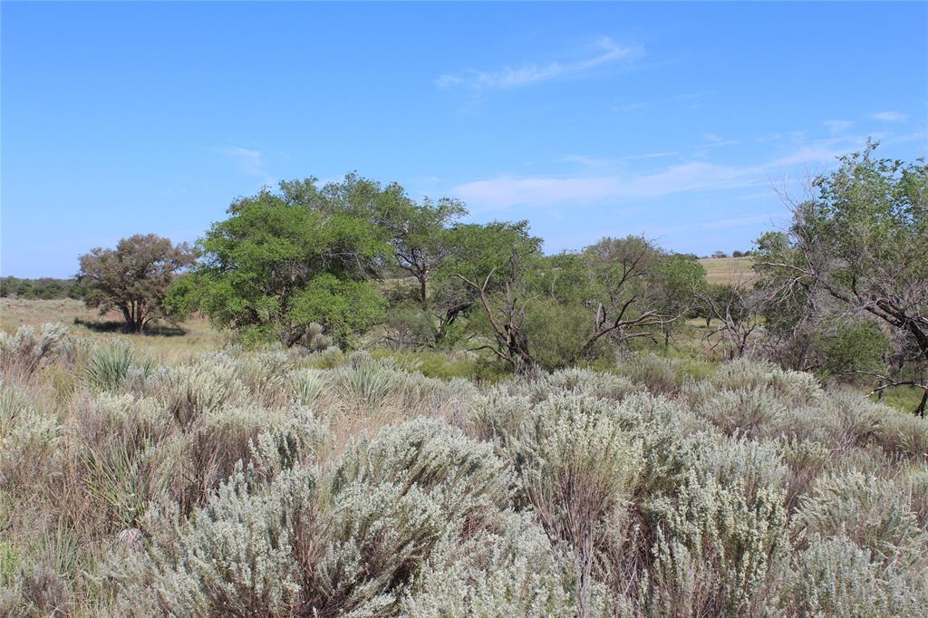 Tbd Tbd 180th Memphis, TX 79245 - Photo 6 of 11 a view of a field of grass and trees