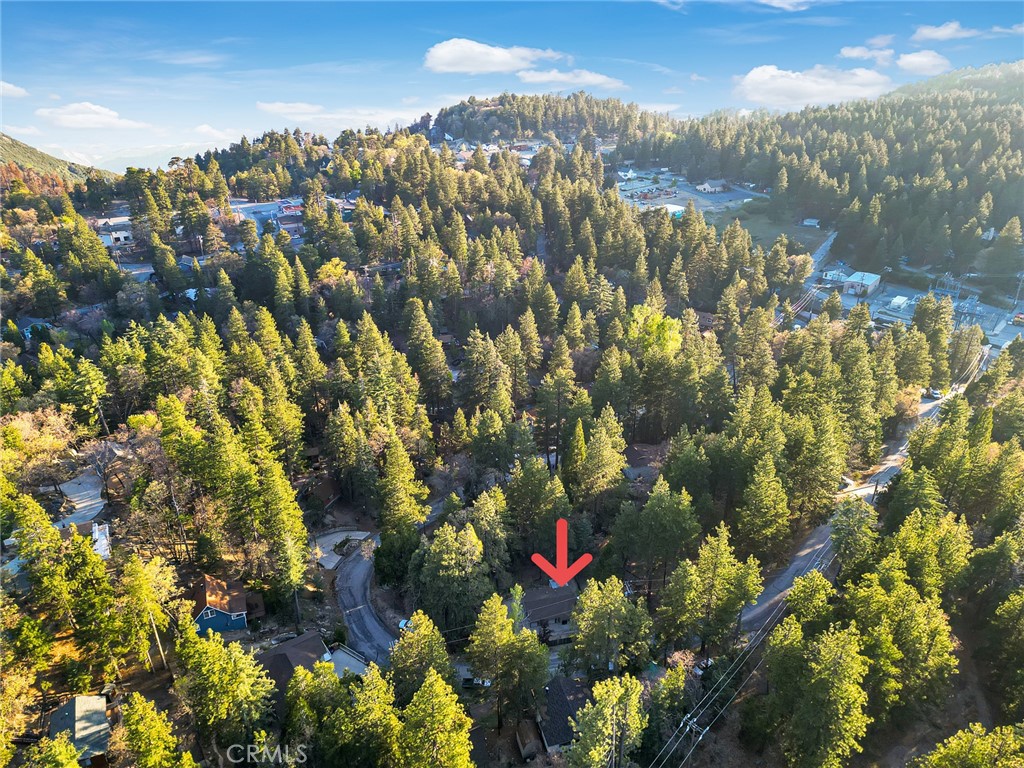 32159 Cove Circle Running Springs, CA 92382 - Photo 19 of 22