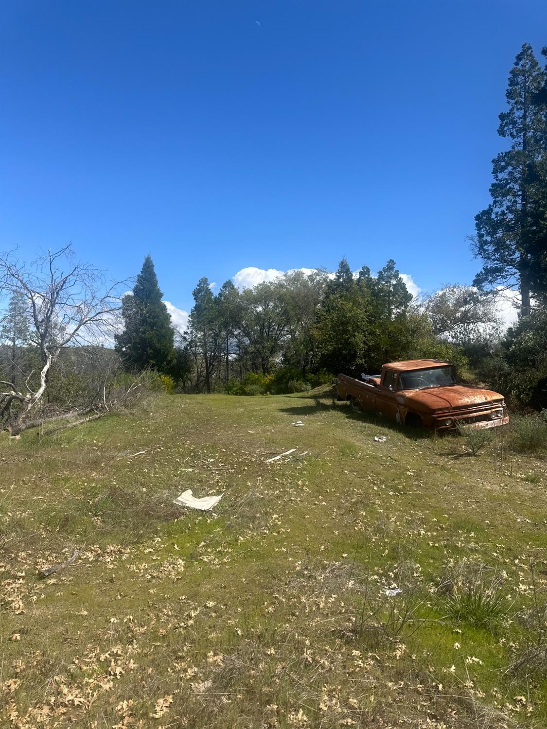 337 Rocky Pt Road Oroville, CA 95966 - Photo 11 of 24 a view of outdoor space and yard