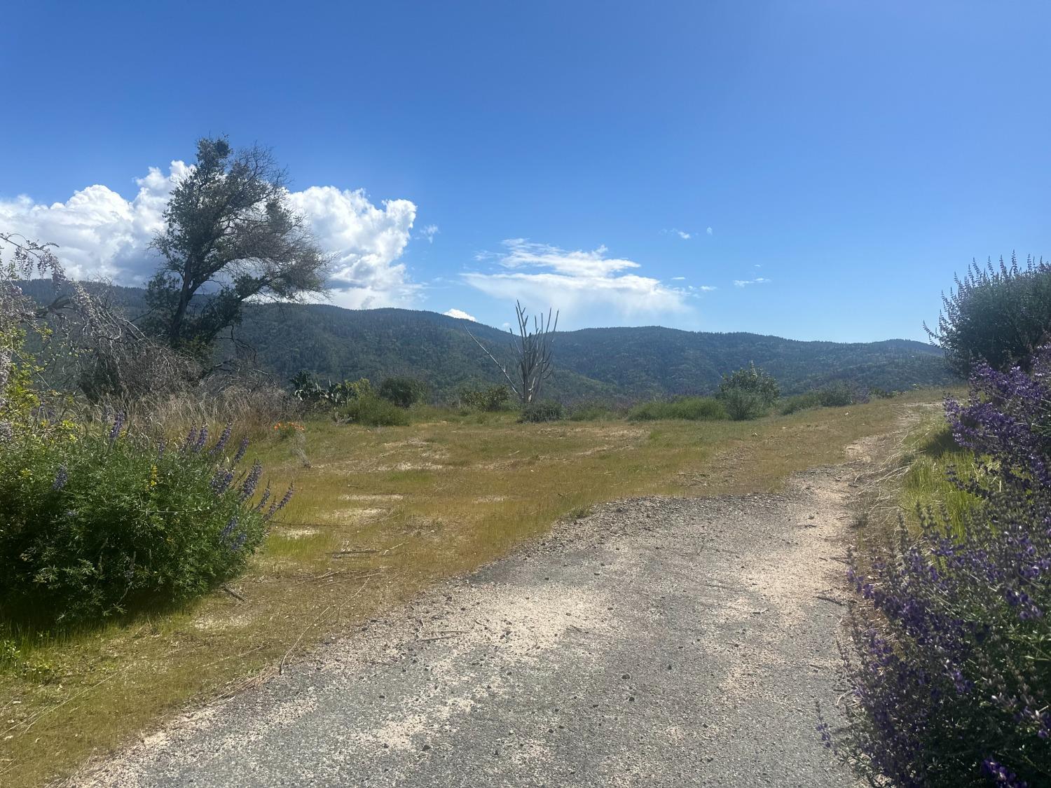 337 Rocky Pt Road Oroville, CA 95966 - Photo 18 of 24 a view of a lake