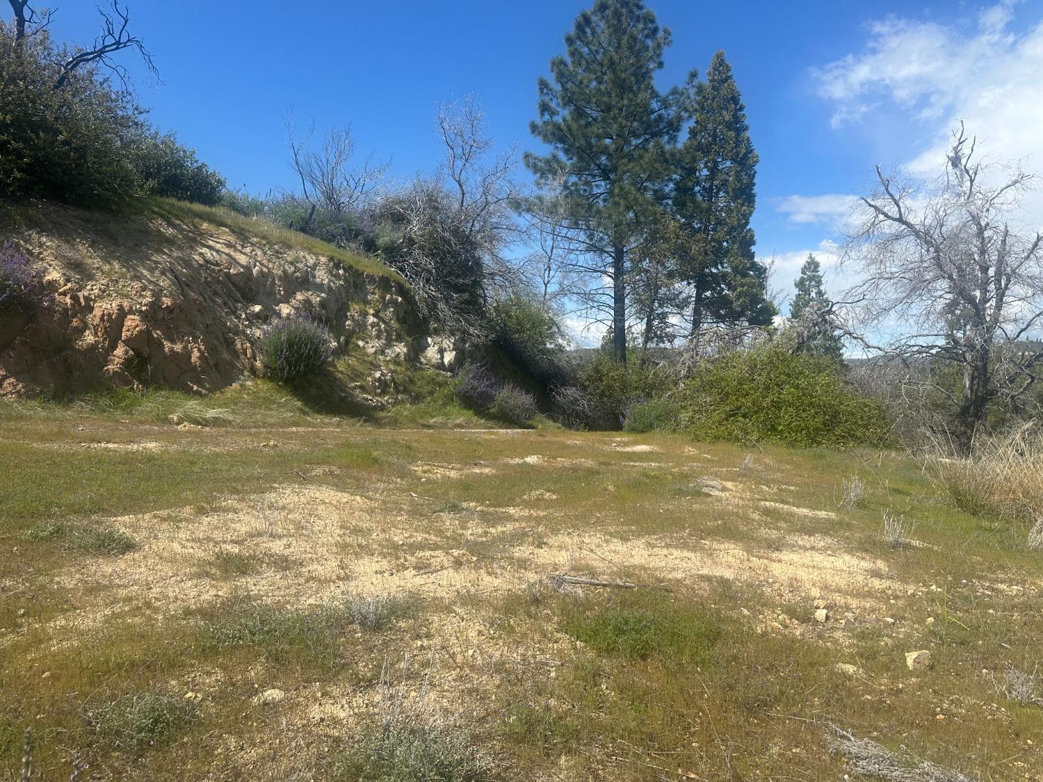 337 Rocky Pt Road Oroville, CA 95966 - Photo 22 of 24 a view of a yard with large trees
