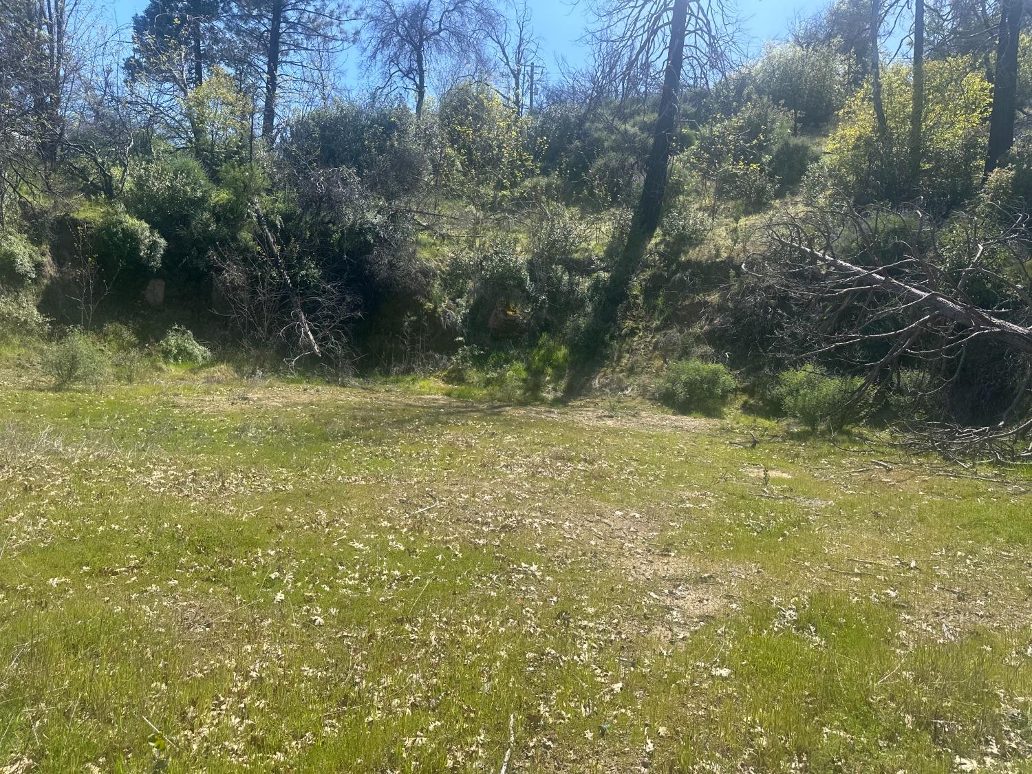 337 Rocky Pt Road Oroville, CA 95966 - Photo 10 of 24 a view of a yard