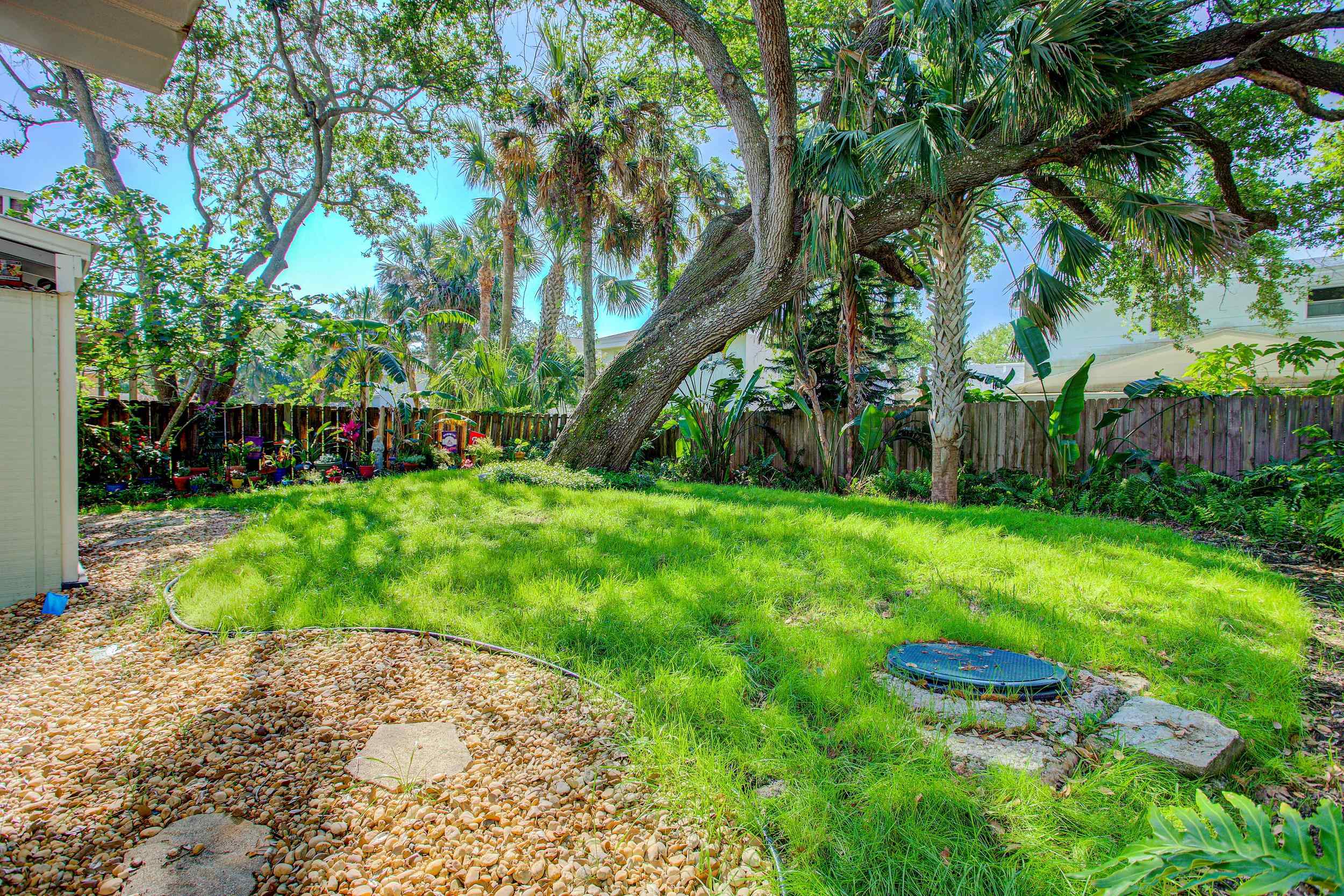 213 A Street St. Augustine, FL 32080 - Photo 7 of 29 a view of a backyard with a garden