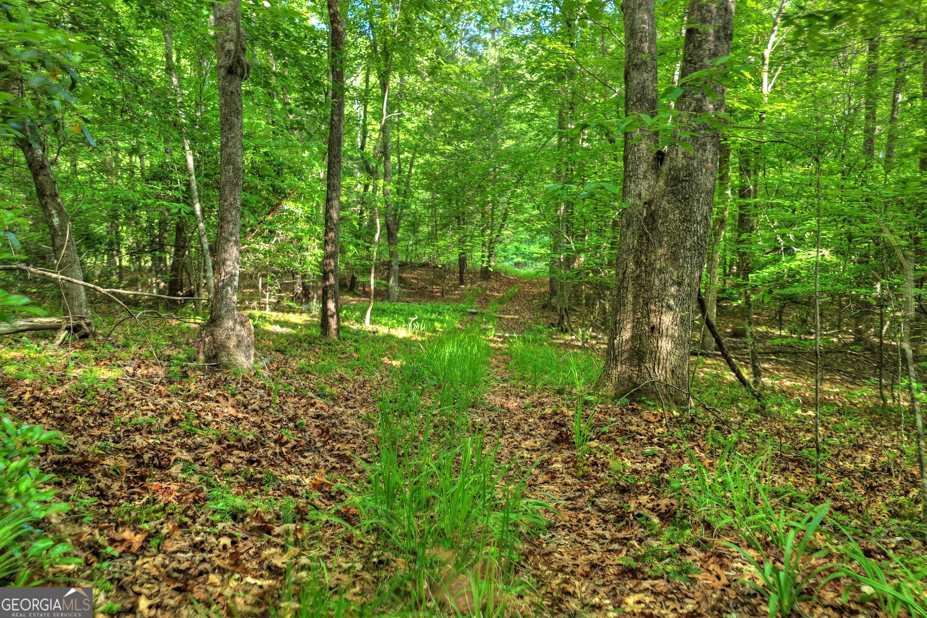 8-ac Mcnelley Road Morganton, GA 30560 - Photo 28 of 47