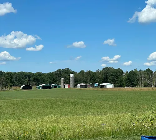 a view of a green field with trees in the background