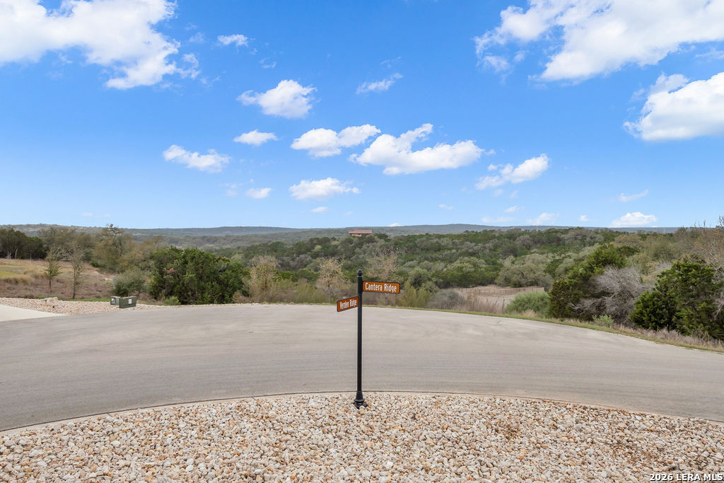 5920 Verden Ridge New Braunfels, TX 78132 - Photo 59 of 61 a view of a road with a yard
