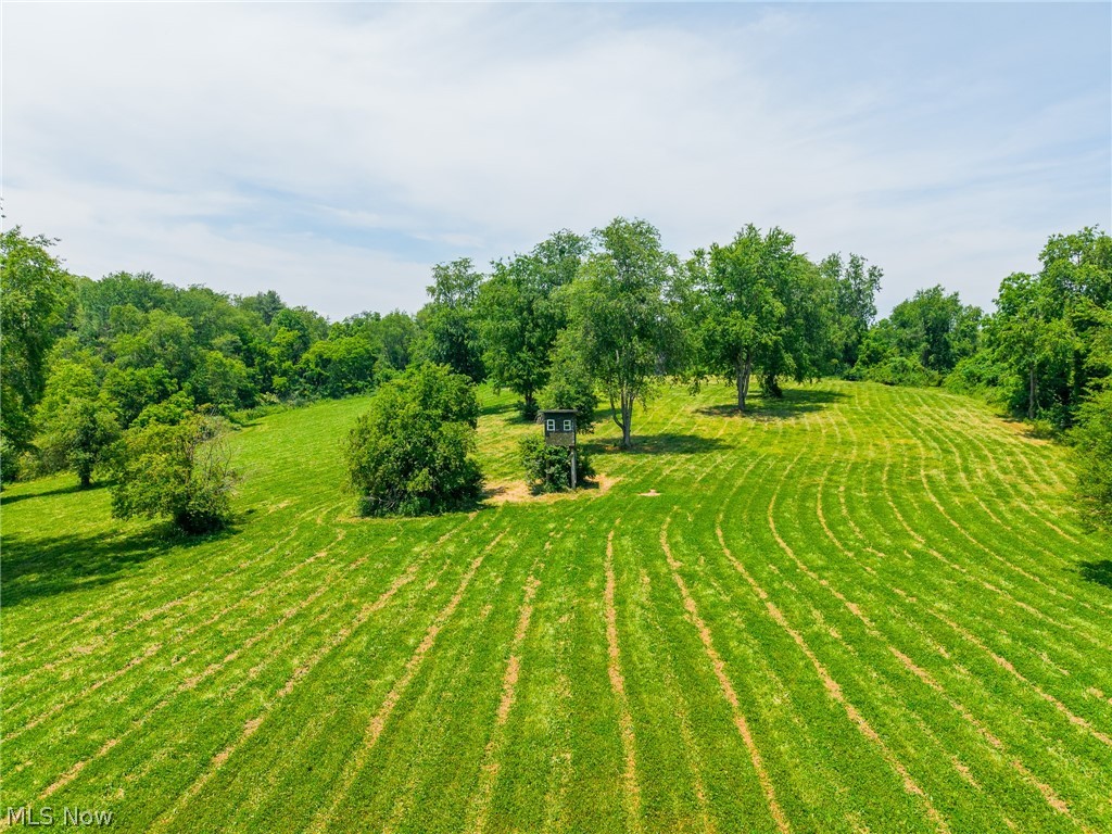 72645 Henderson Ridge Road St. Clairsville, OH 43950 - Photo 25 of 50