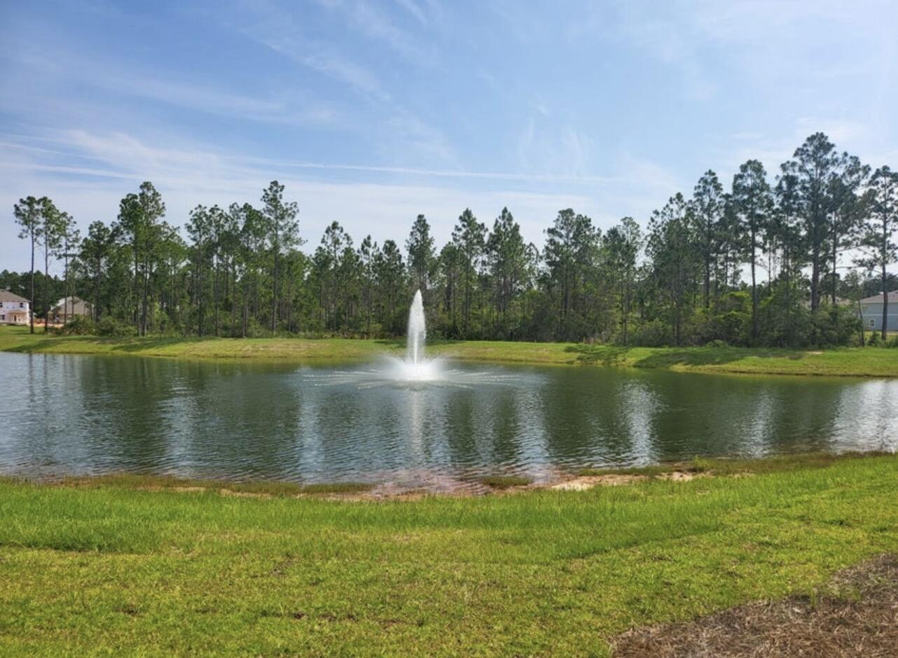 Undisclosed Address Santa Rosa Beach, FL 32459 - Photo 31 of 31 IMG_2908