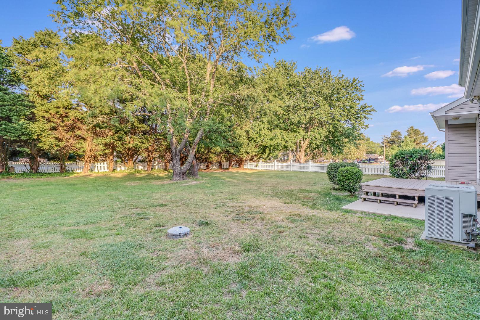 143 Cornwall Road Rehoboth Beach, DE 19971 - Photo 24 of 30 Large fenced yard surrounded by Leyland Cypress.