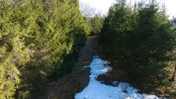$589,900 | 291 Parker Smith Hill Road, Guilford, NY 13733