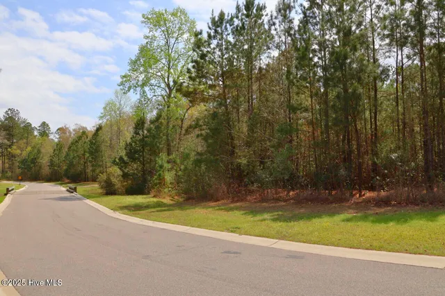 $250,000 | 9319 Fallen Pear Lane Northeast, Leland, NC 28451