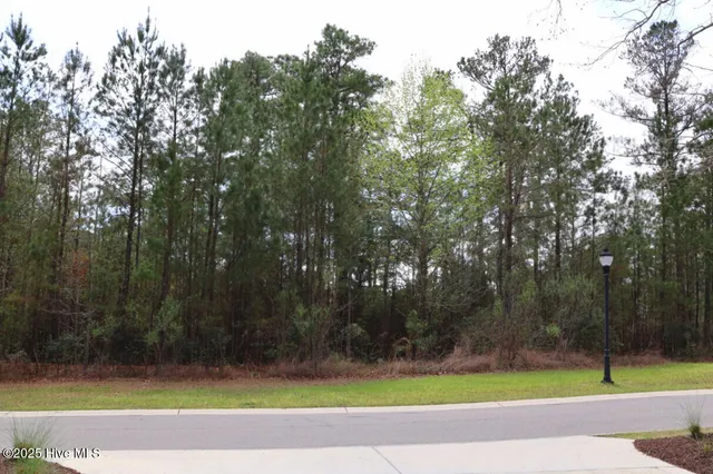 $250,000 | 9319 Fallen Pear Lane Northeast, Leland, NC 28451