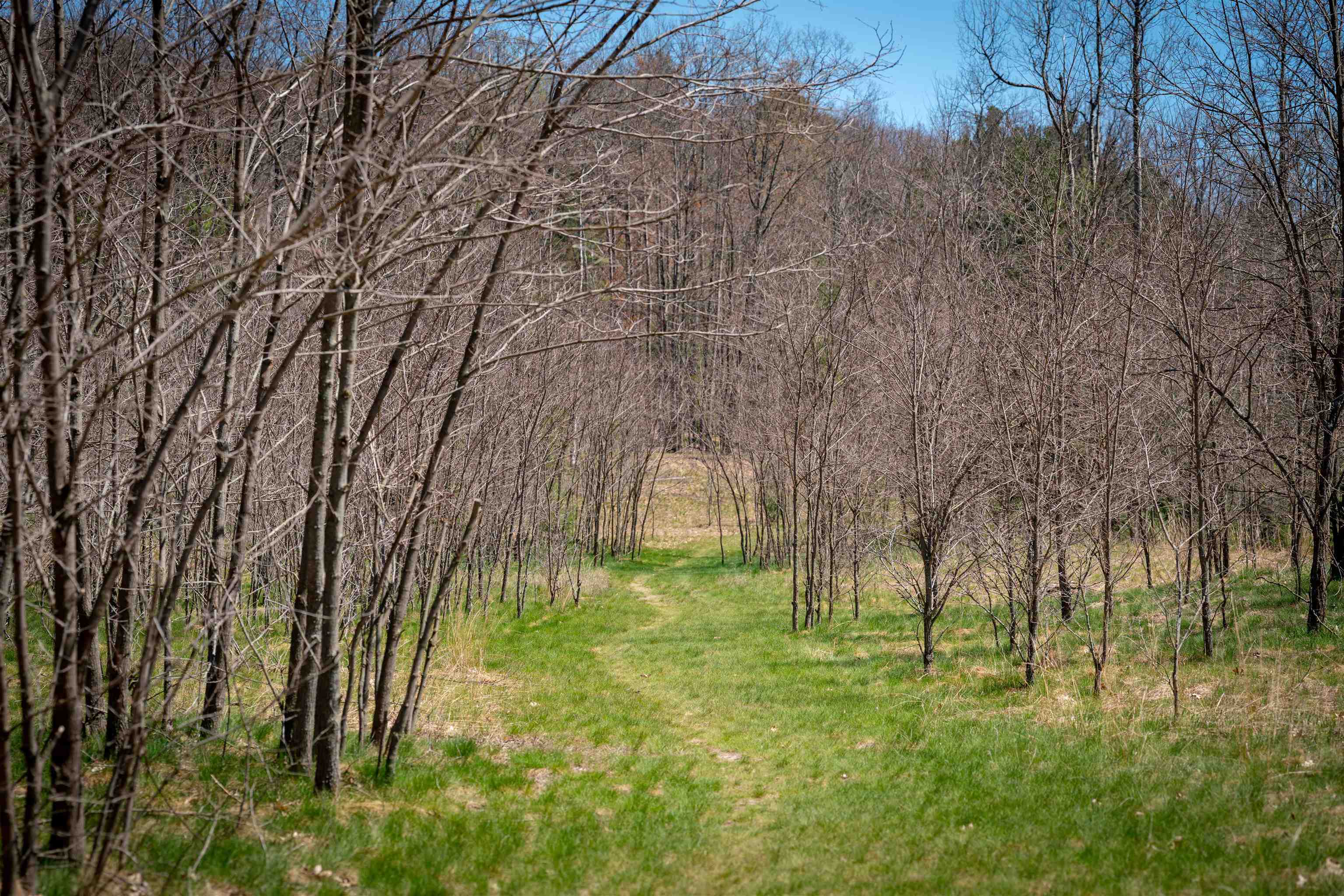 3863 Falling Leaf Trail Traverse City, MI 49686 - Photo 46 of 69 1945436-6275285a-7483-4b9f-a9fa-c524c7ac64a6.JPG