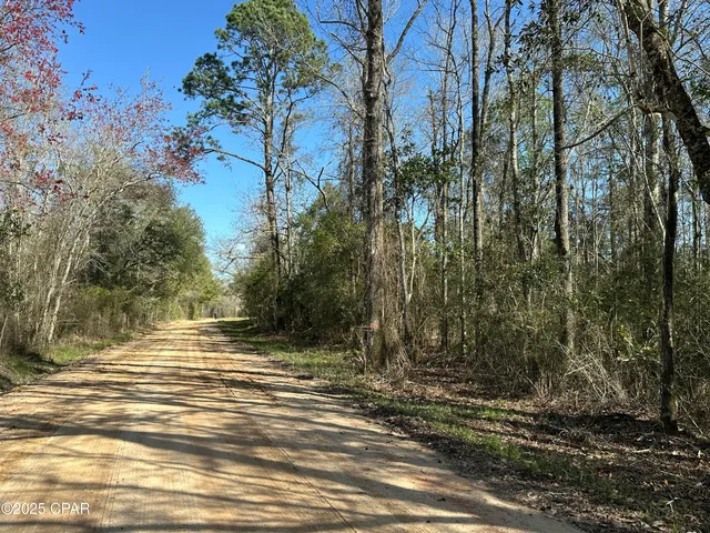 $587,700 | Tract#6317 Harris Stevenson Road, Bonifay, FL 32425