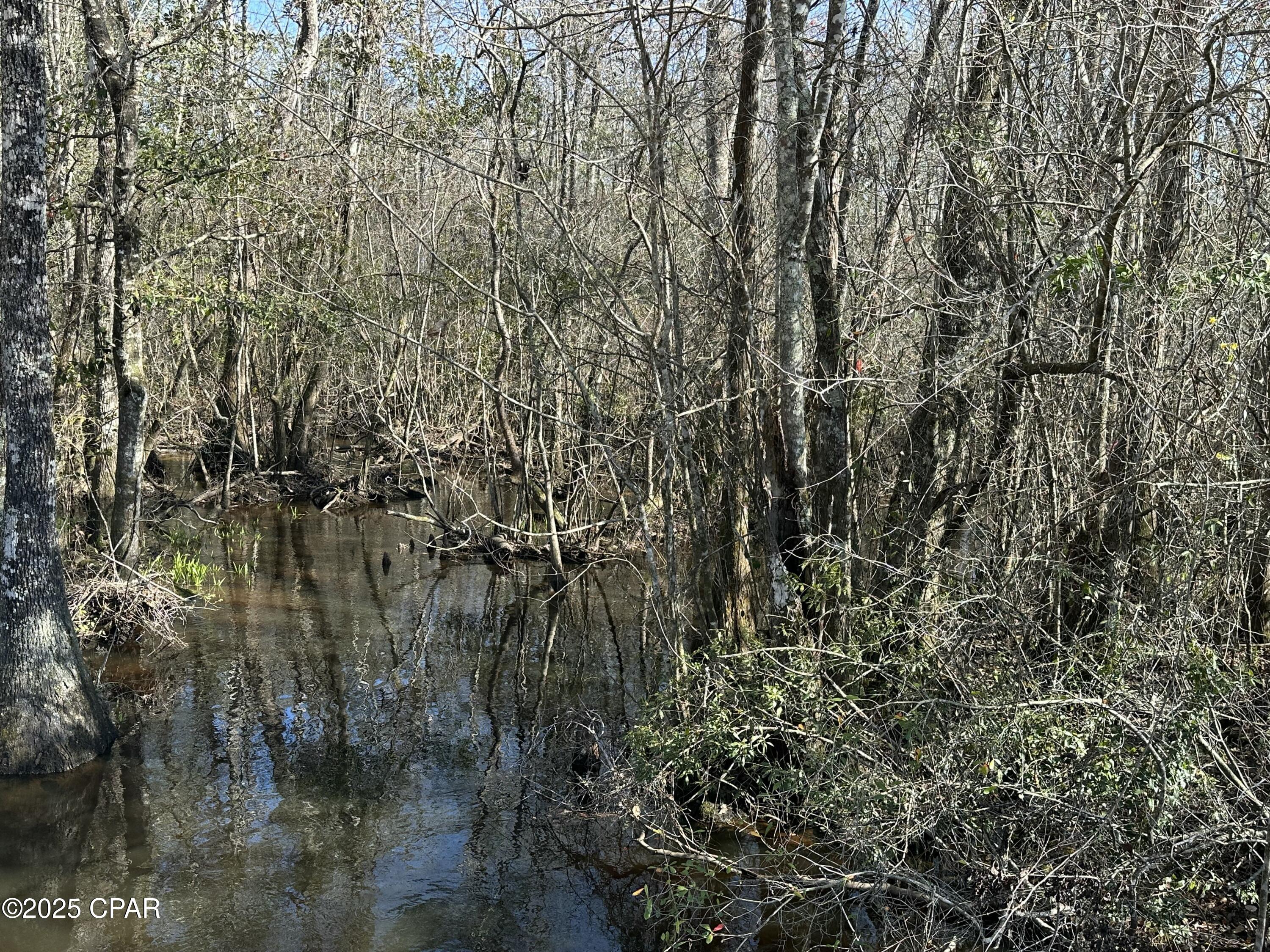 Tract#6317 Harris Stevenson Road Bonifay, FL 32425 - Photo 13 of 17