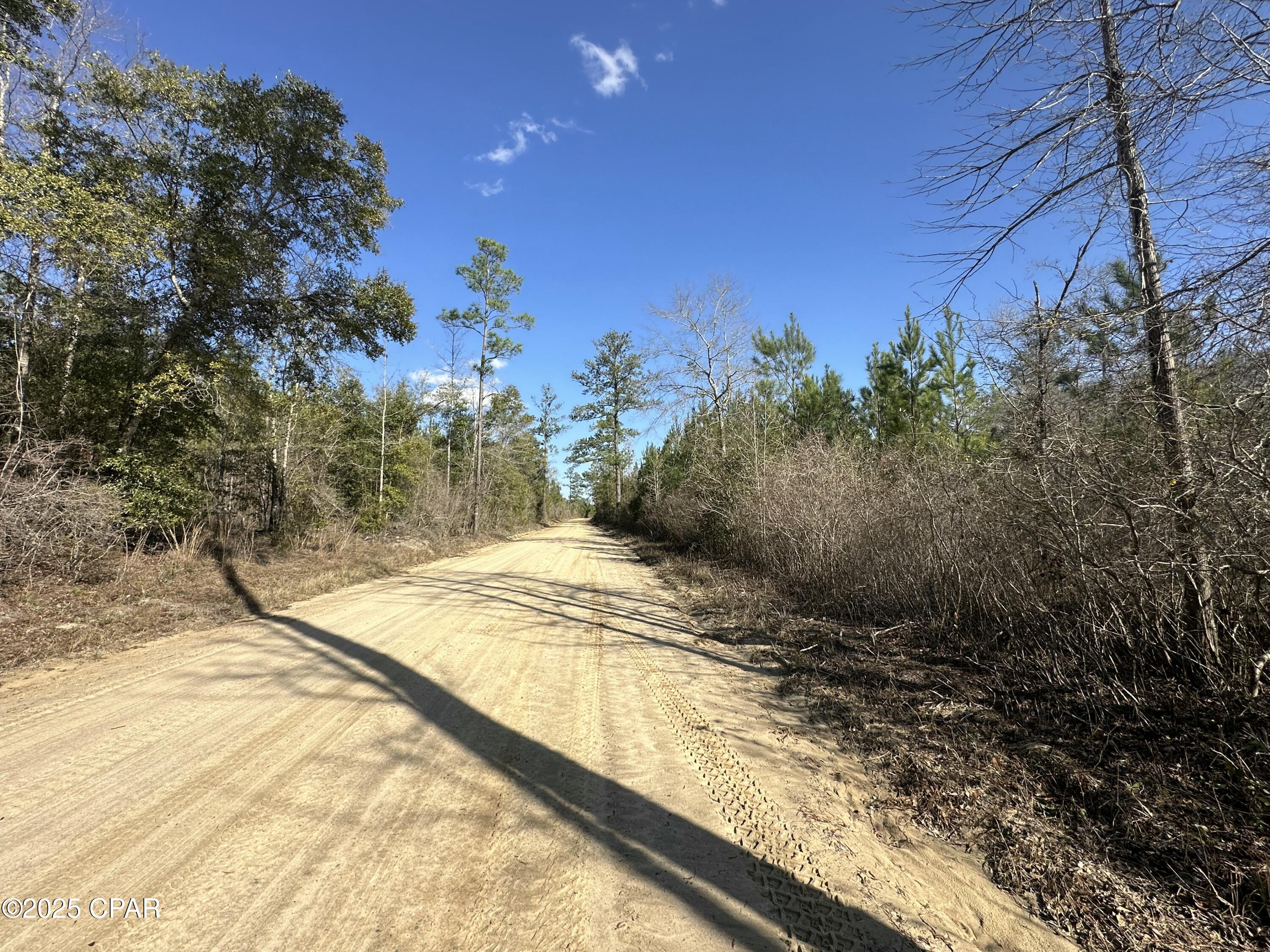 Tract#6317 Harris Stevenson Road Bonifay, FL 32425 - Photo 15 of 17