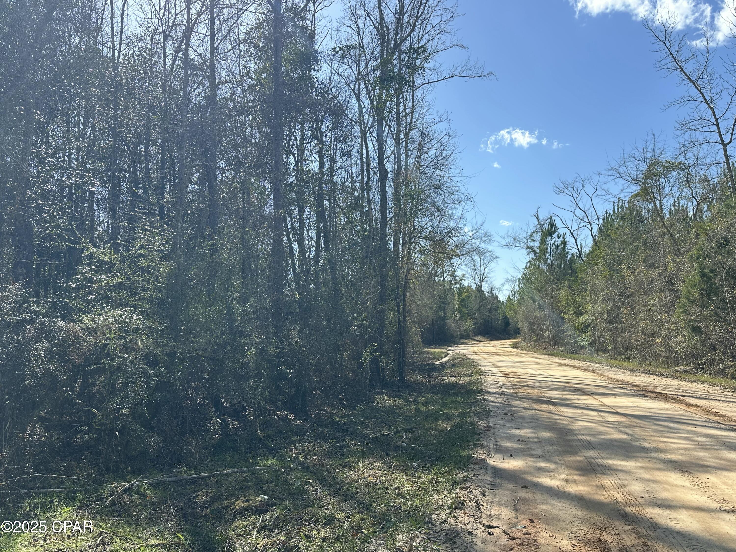 Tract#6317 Harris Stevenson Road Bonifay, FL 32425 - Photo 2 of 17