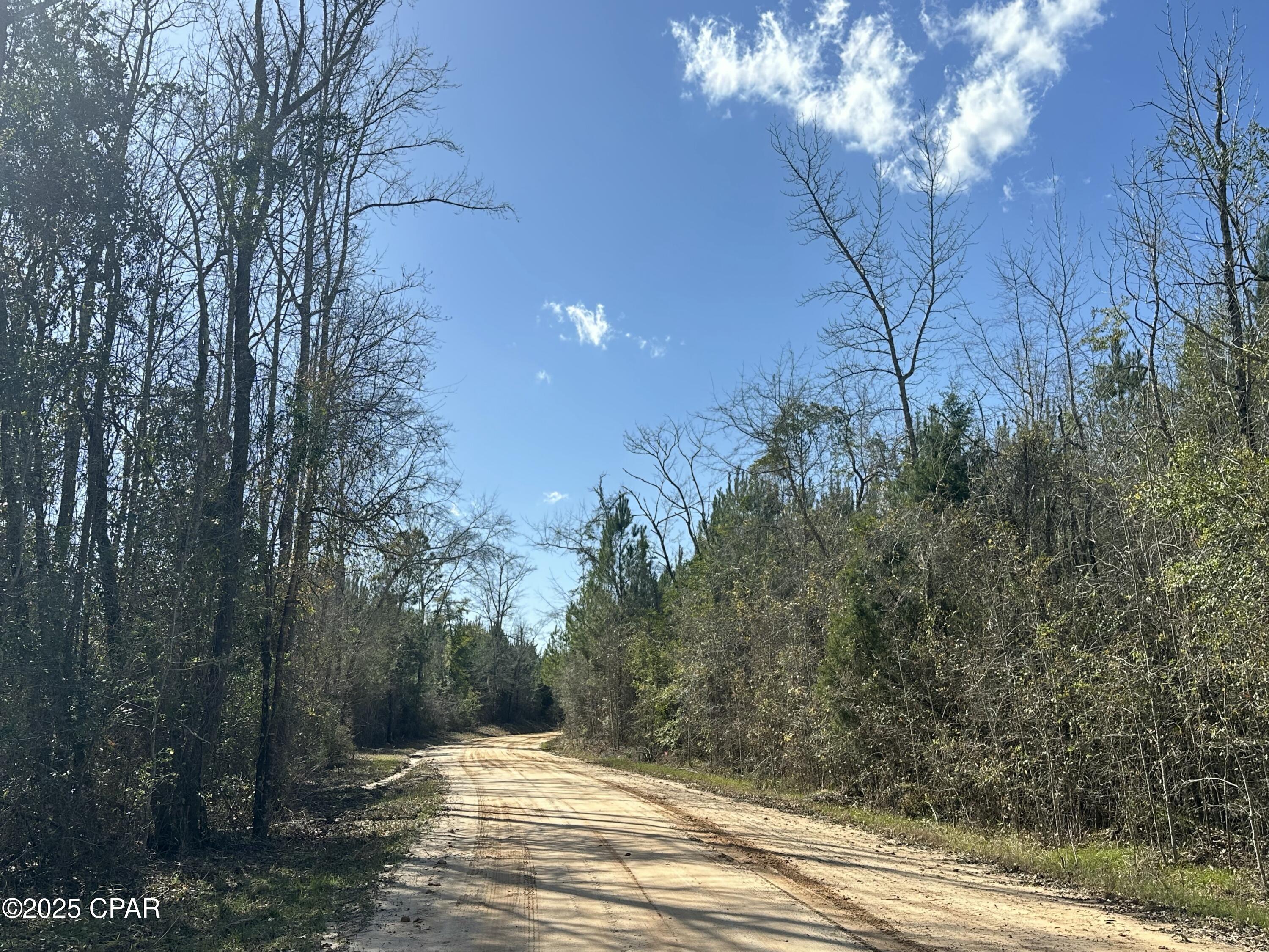 Tract#6317 Harris Stevenson Road Bonifay, FL 32425 - Photo 3 of 17