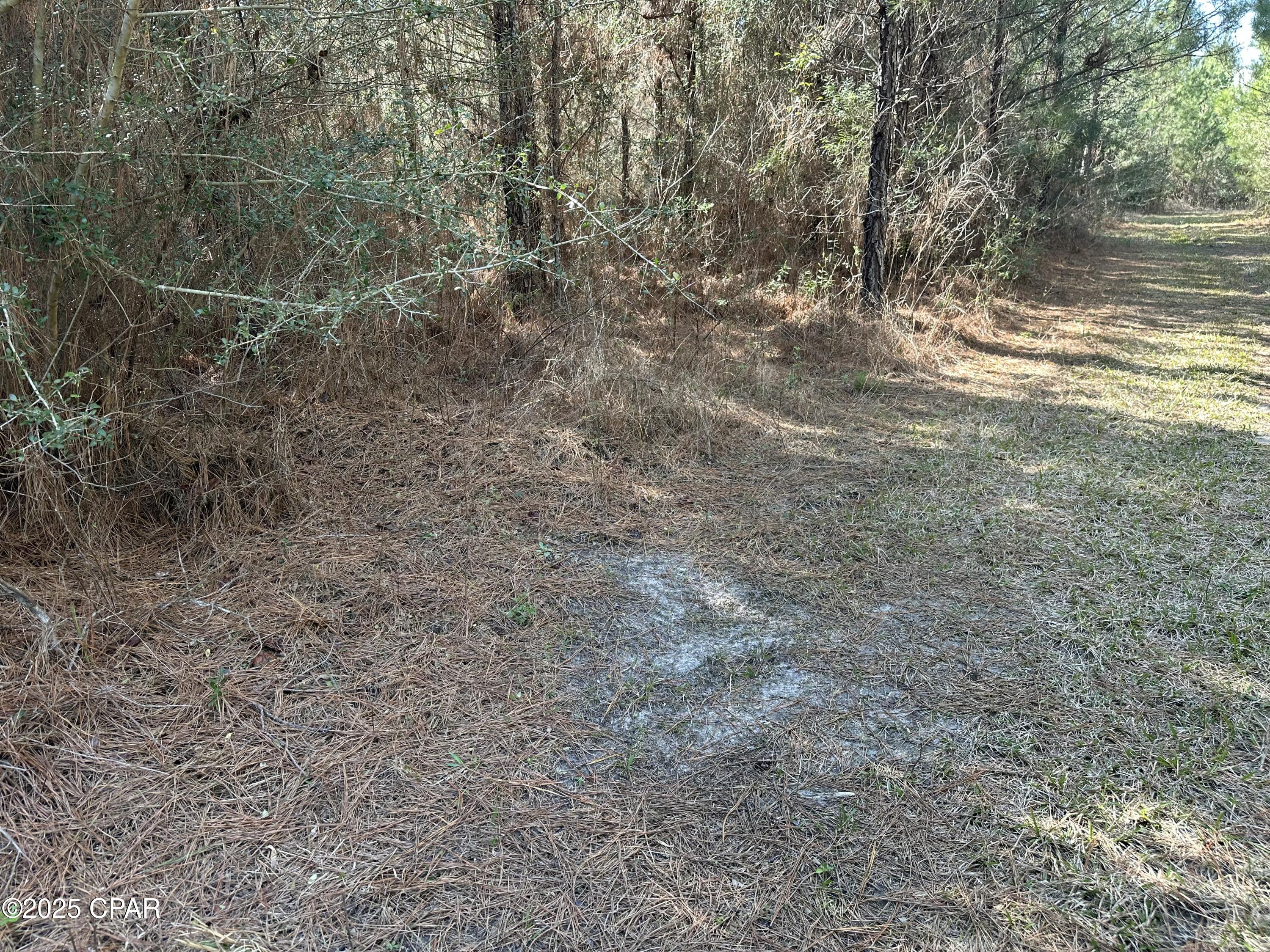 Tract#6317 Harris Stevenson Road Bonifay, FL 32425 - Photo 6 of 17