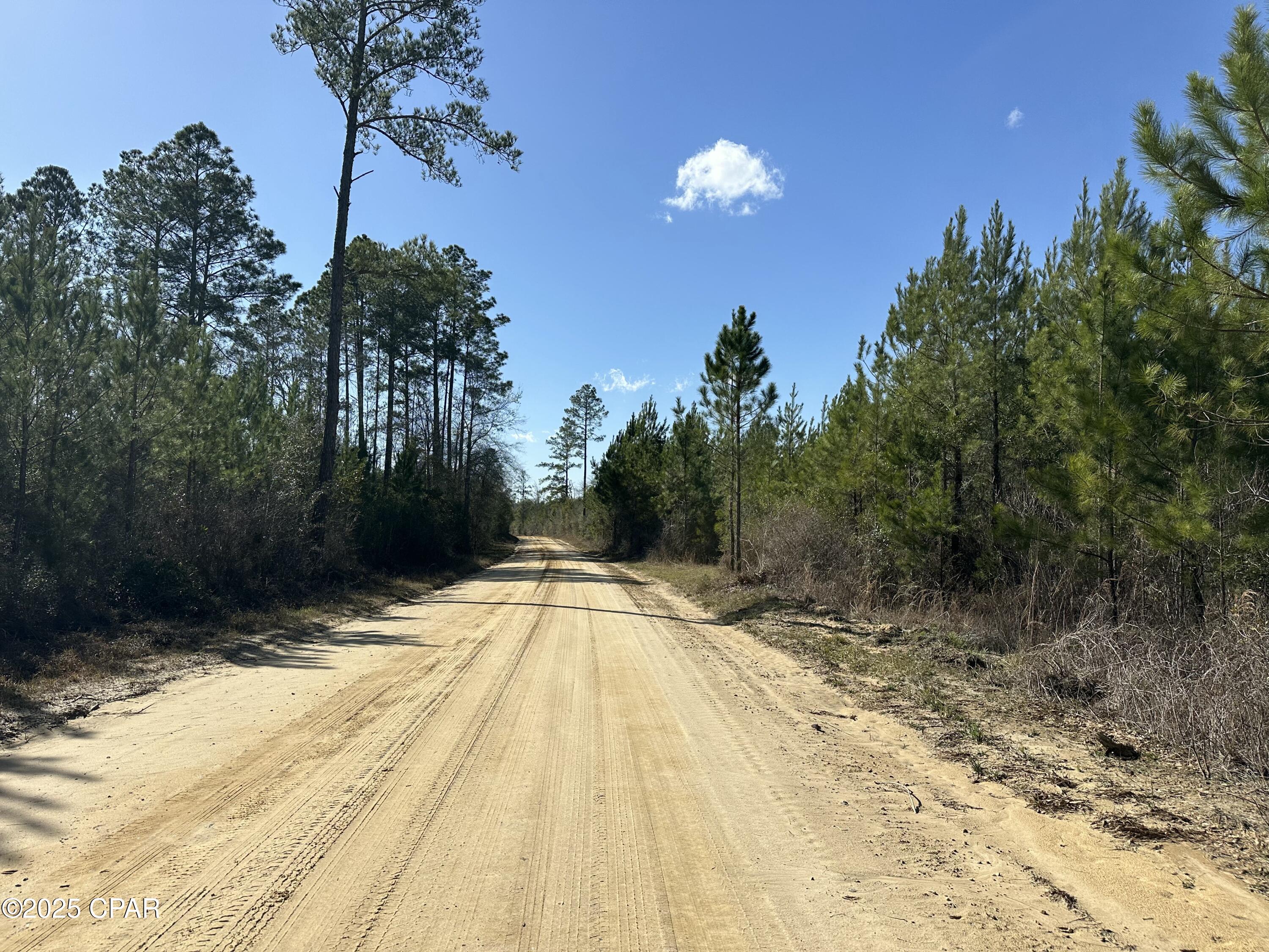 Tract#6317 Harris Stevenson Road Bonifay, FL 32425 - Photo 7 of 17