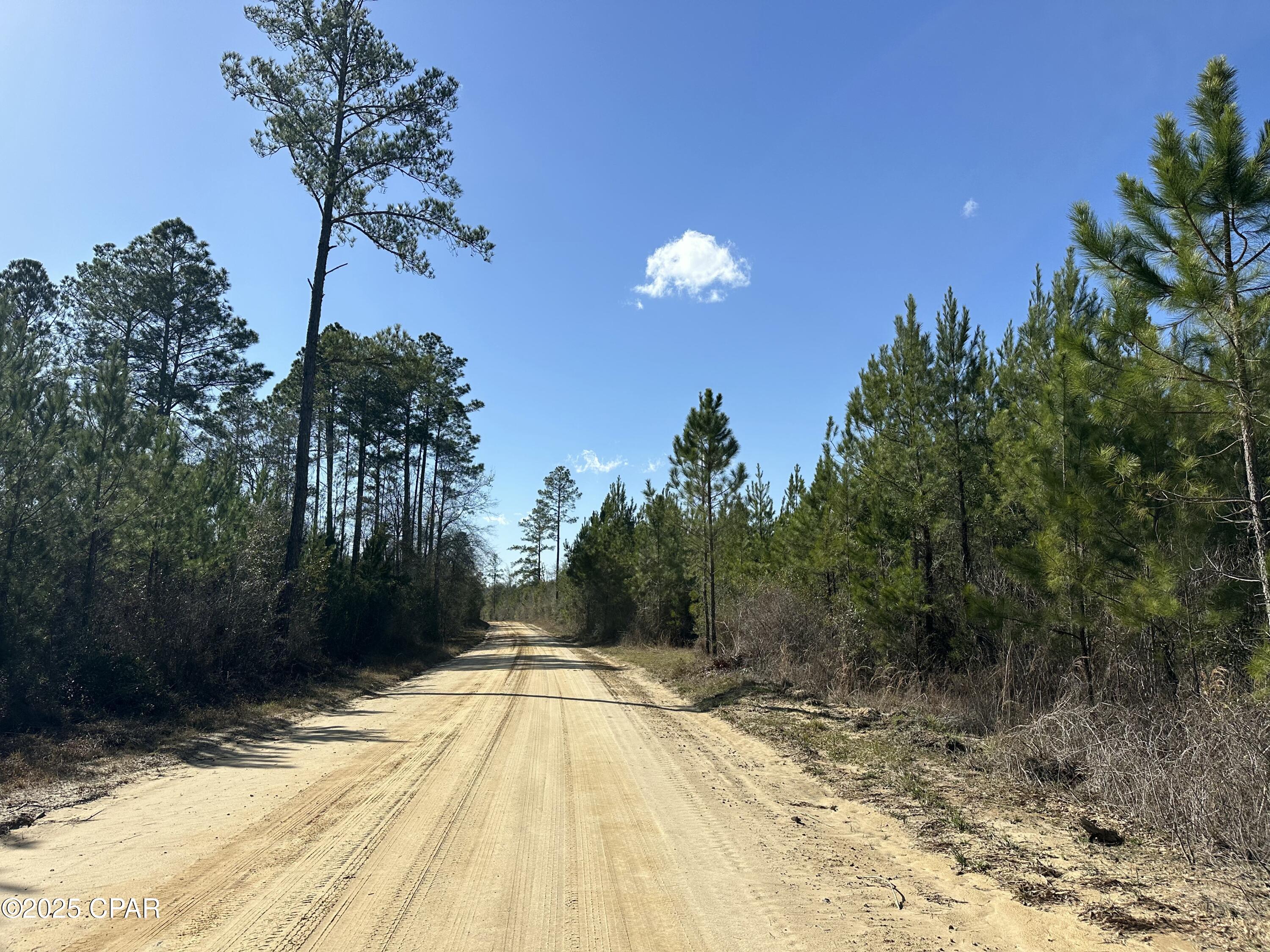 Tract#6317 Harris Stevenson Road Bonifay, FL 32425 - Photo 8 of 17