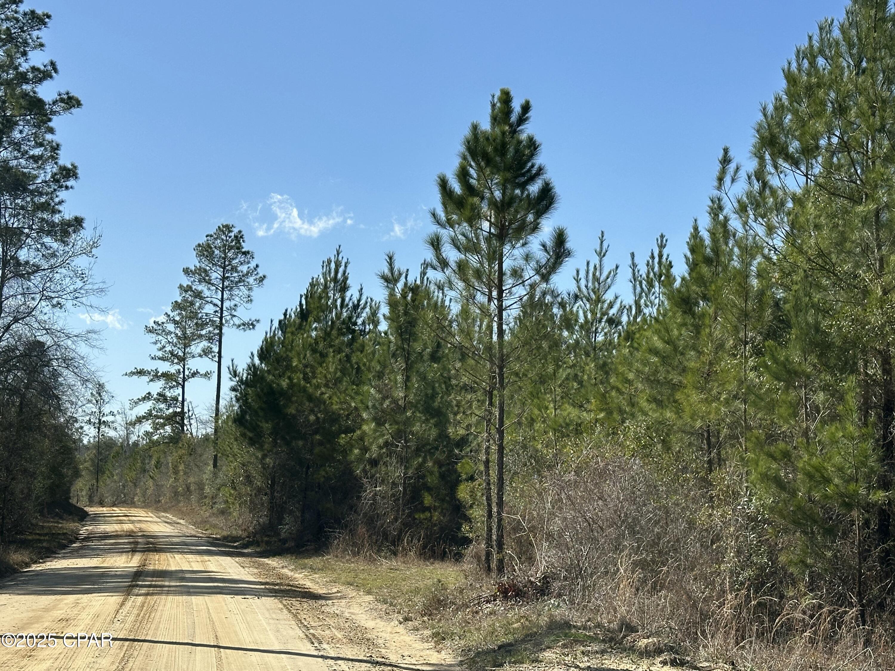 Tract#6317 Harris Stevenson Road Bonifay, FL 32425 - Photo 9 of 17