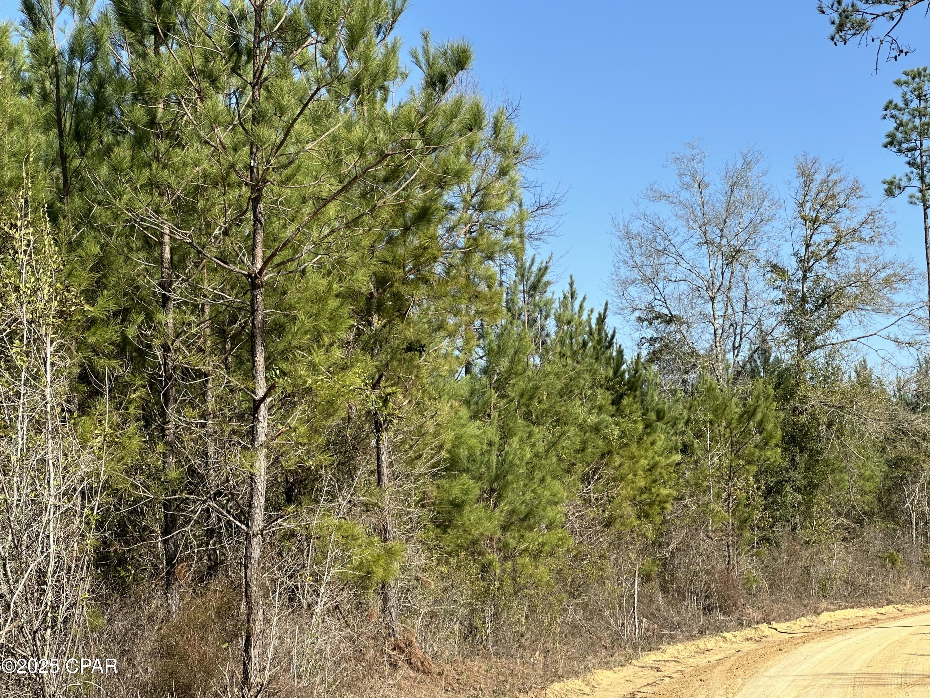 Tract#6317 Harris Stevenson Road Bonifay, FL 32425 - Photo 10 of 17