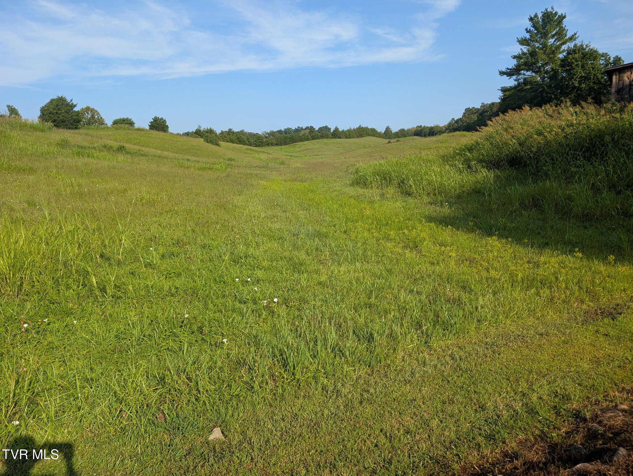 750 Red Gate Road Greeneville, TN 37743 - Photo 2 of 40 IMG_20260828_115459