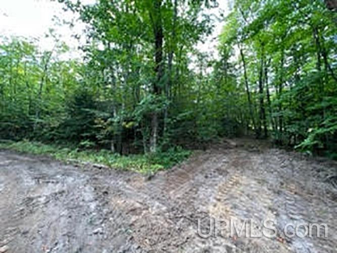 4 Lake Enchantment Road Marquette, MI 49855 - Photo 10 of 18