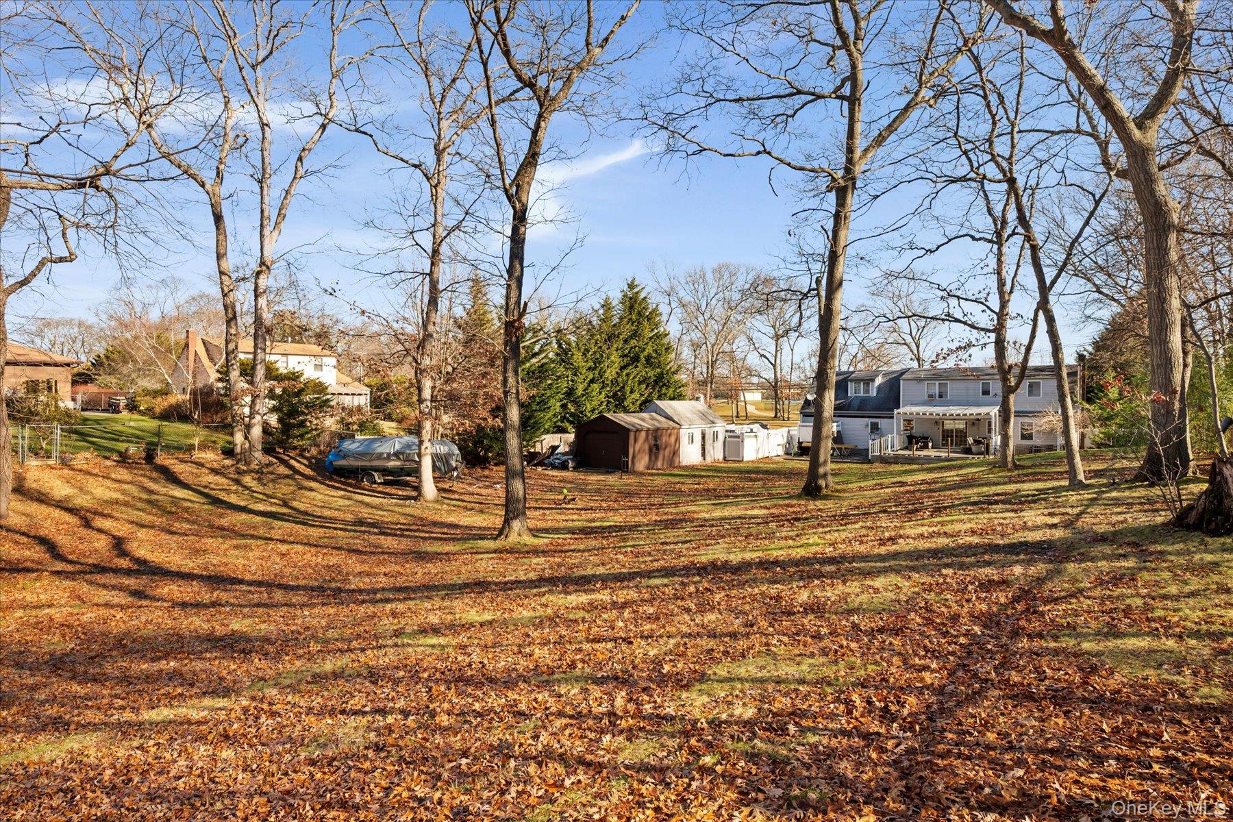 280 Moriches Road St. James, NY 11780 - Photo 26 of 39 a view of yard with tree