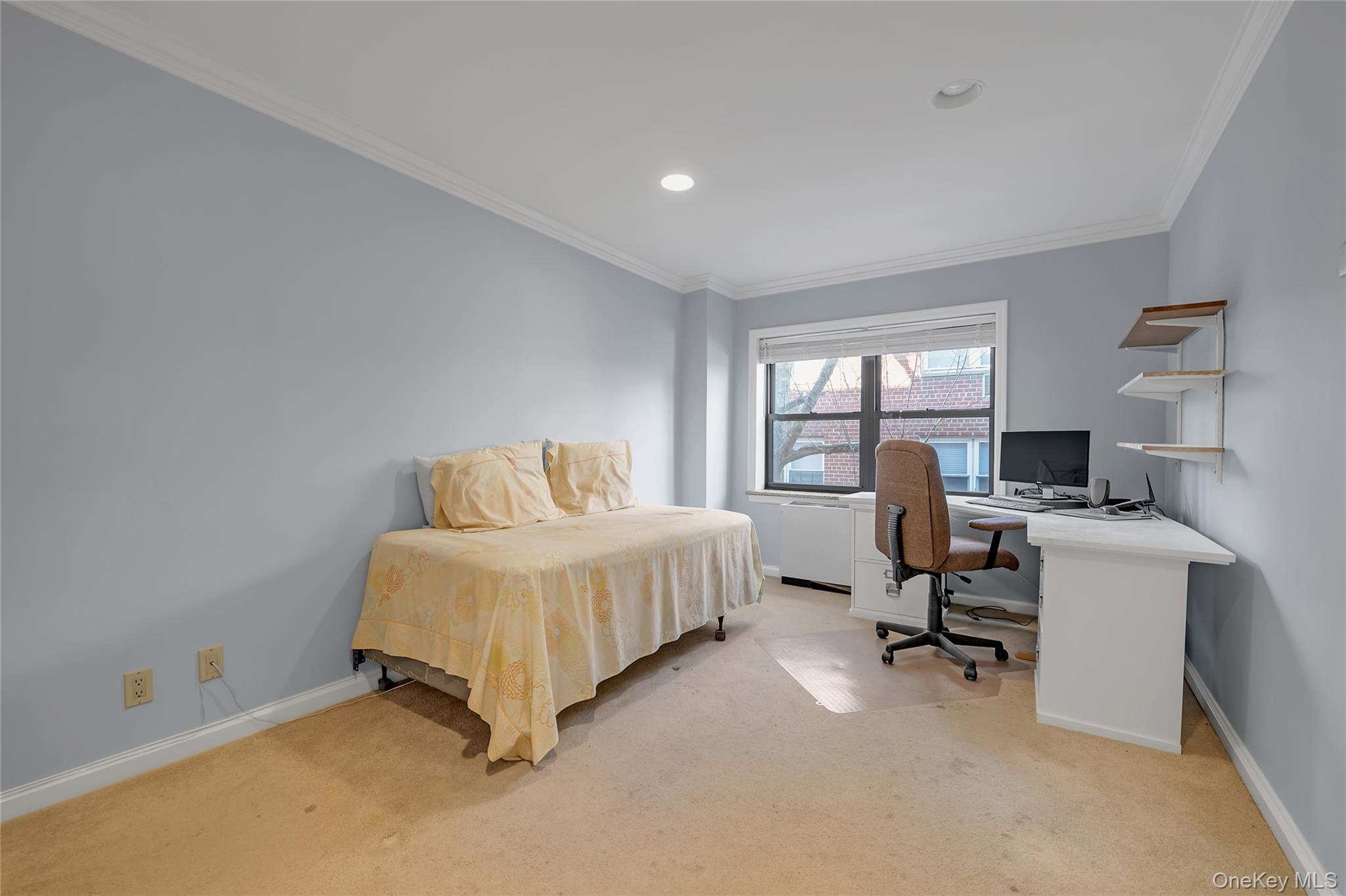 20 Canterbury Road, Unit 2C Great Neck, NY 11021 - Photo 13 of 20