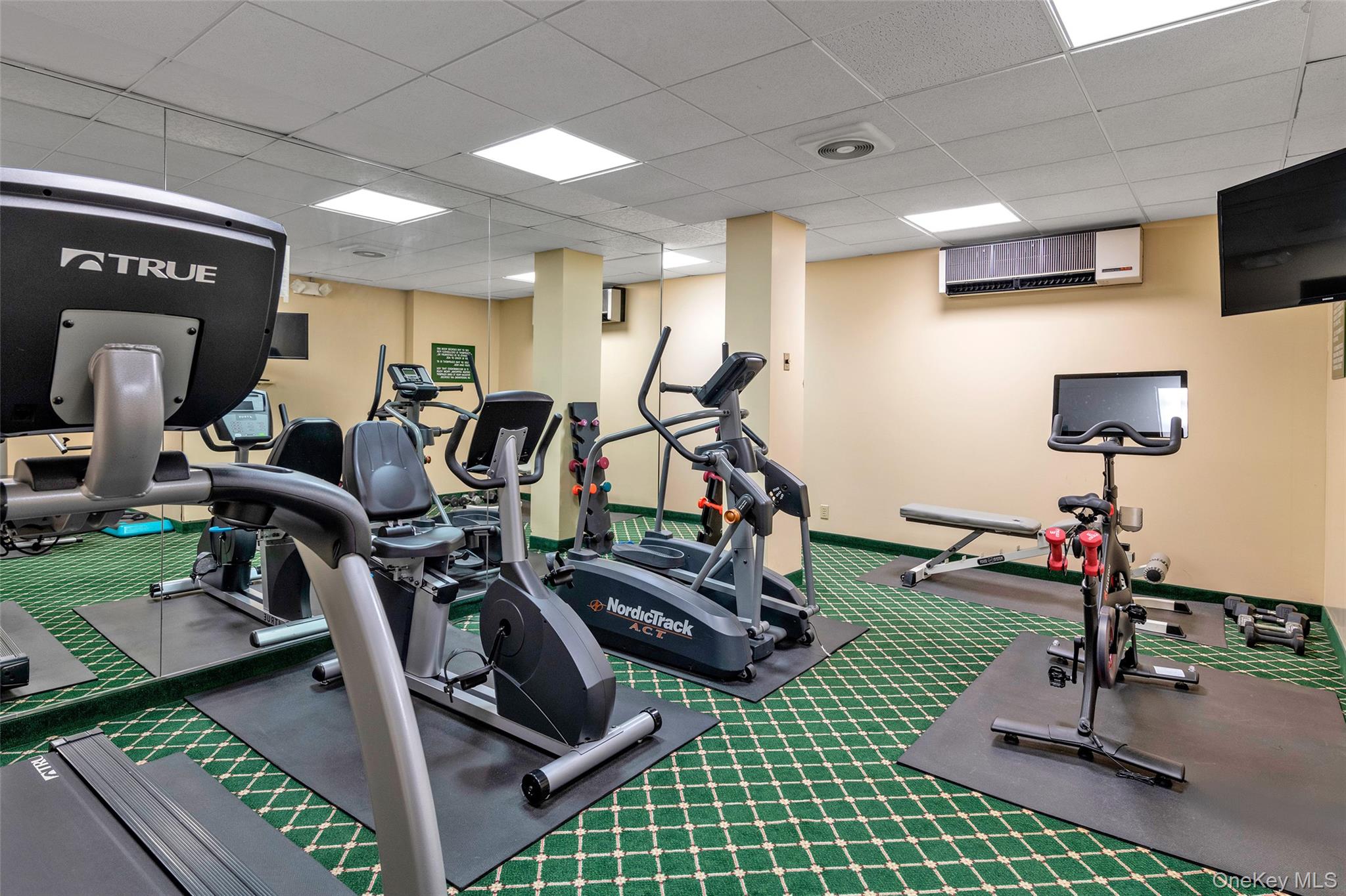 20 Canterbury Road, Unit 2C Great Neck, NY 11021 - Photo 20 of 20