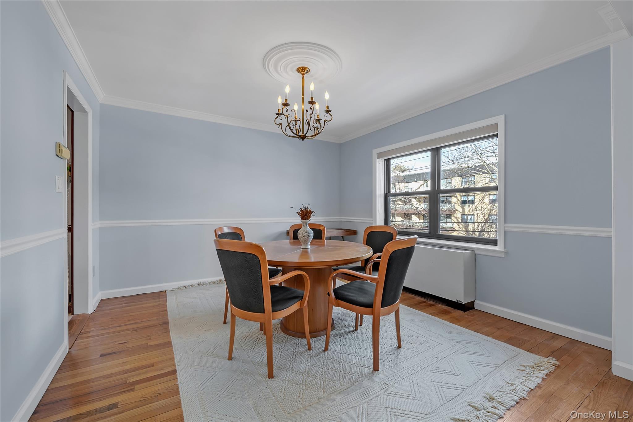 20 Canterbury Road, Unit 2C Great Neck, NY 11021 - Photo 7 of 20