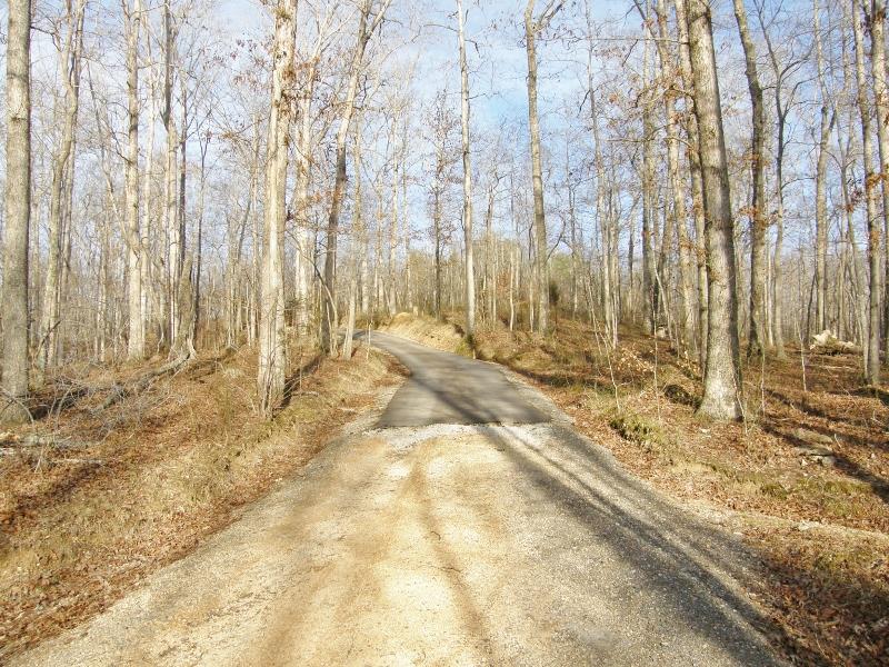 230 Lawson Road Hohenwald, TN 38462 - Photo 2 of 30 Gallery Image 2