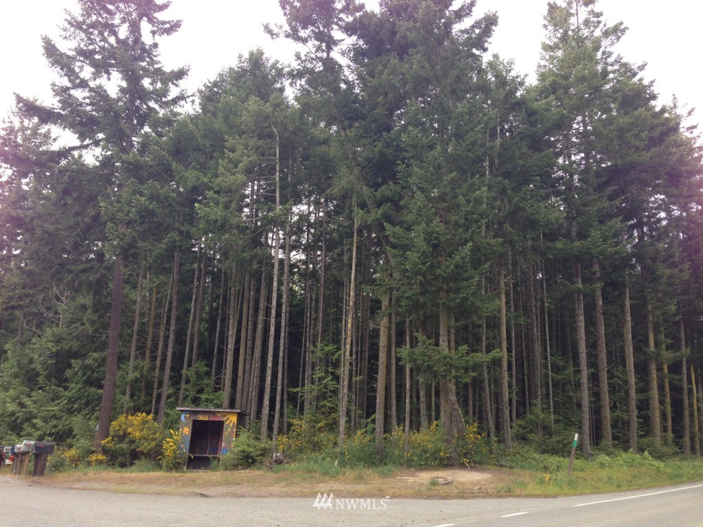 60 Crutcher Road Port Townsend, WA 98368 - Photo 1 of 7 Gallery Image 1