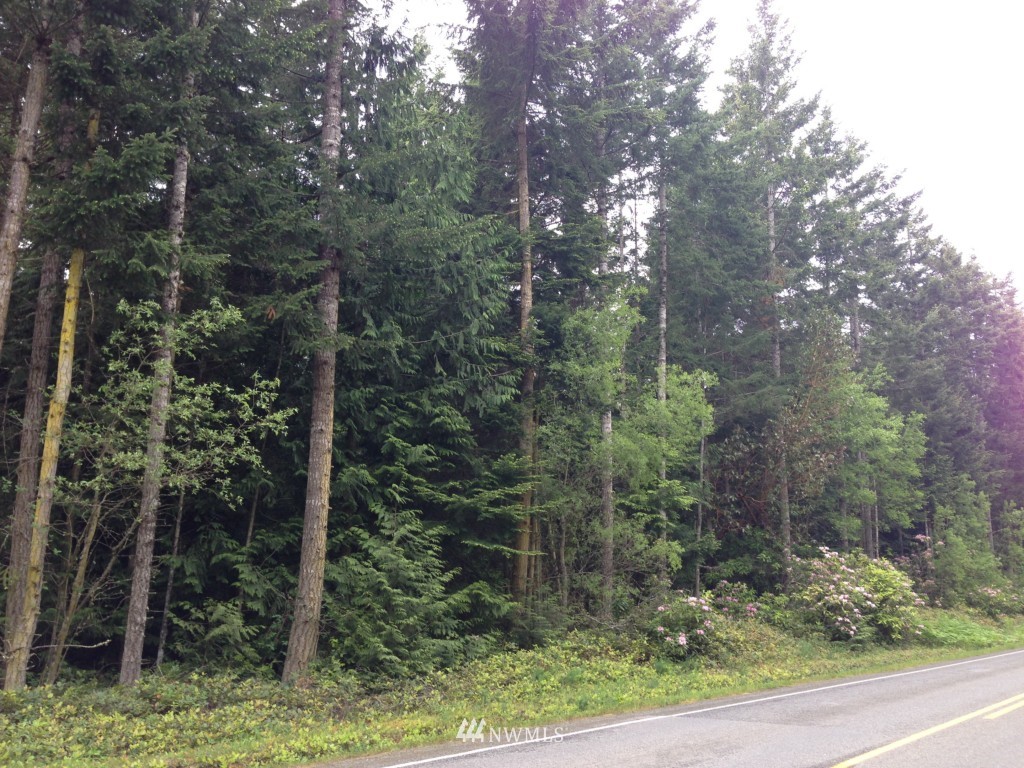 60 Crutcher Road Port Townsend, WA 98368 - Photo 3 of 7 Gallery Image 3