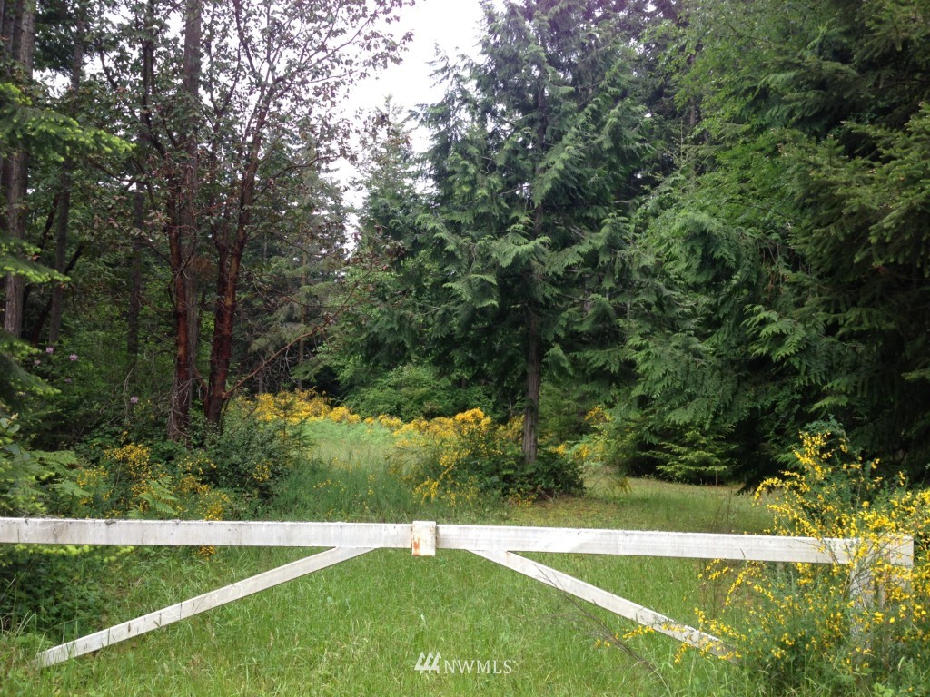 60 Crutcher Road Port Townsend, WA 98368 - Photo 4 of 7 Gallery Image 4
