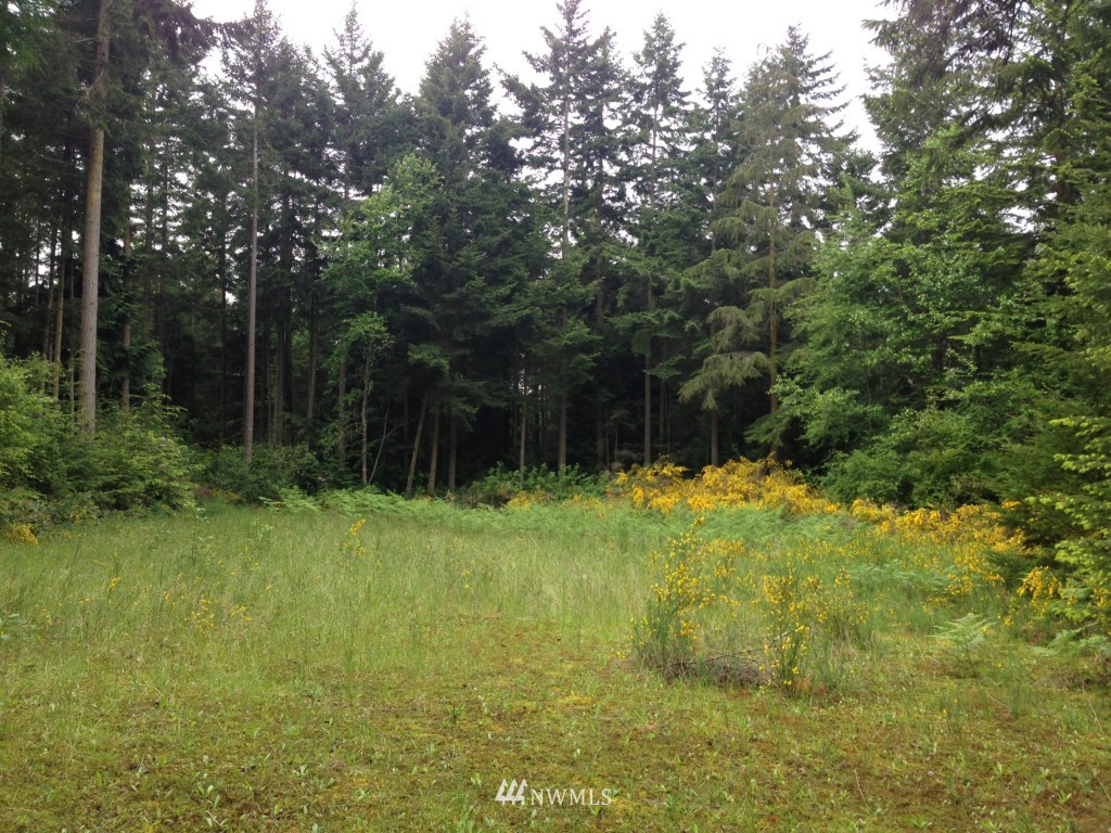 60 Crutcher Road Port Townsend, WA 98368 - Photo 5 of 7 Gallery Image 5