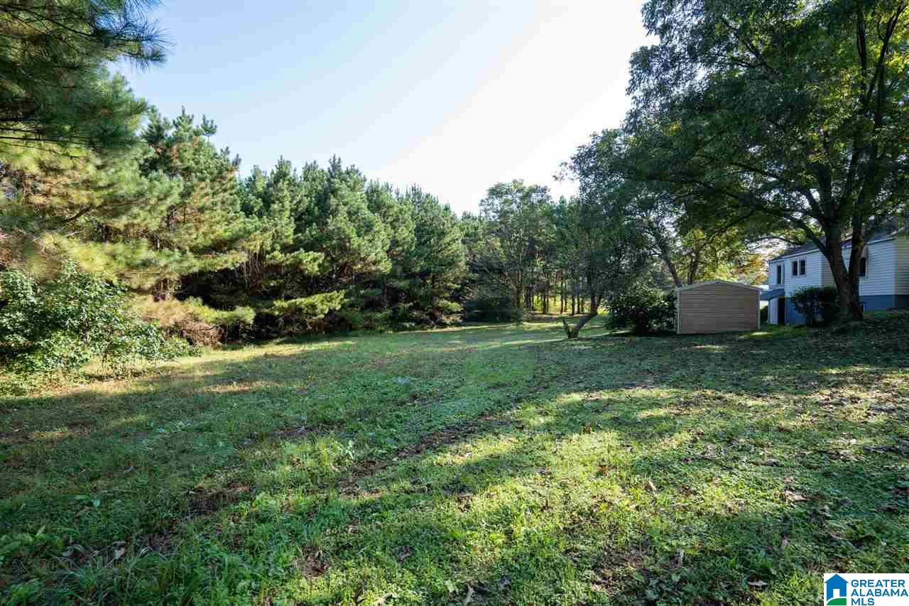 1697 Robin Hill Road Oneonta, AL 35121 - Photo 31 of 50