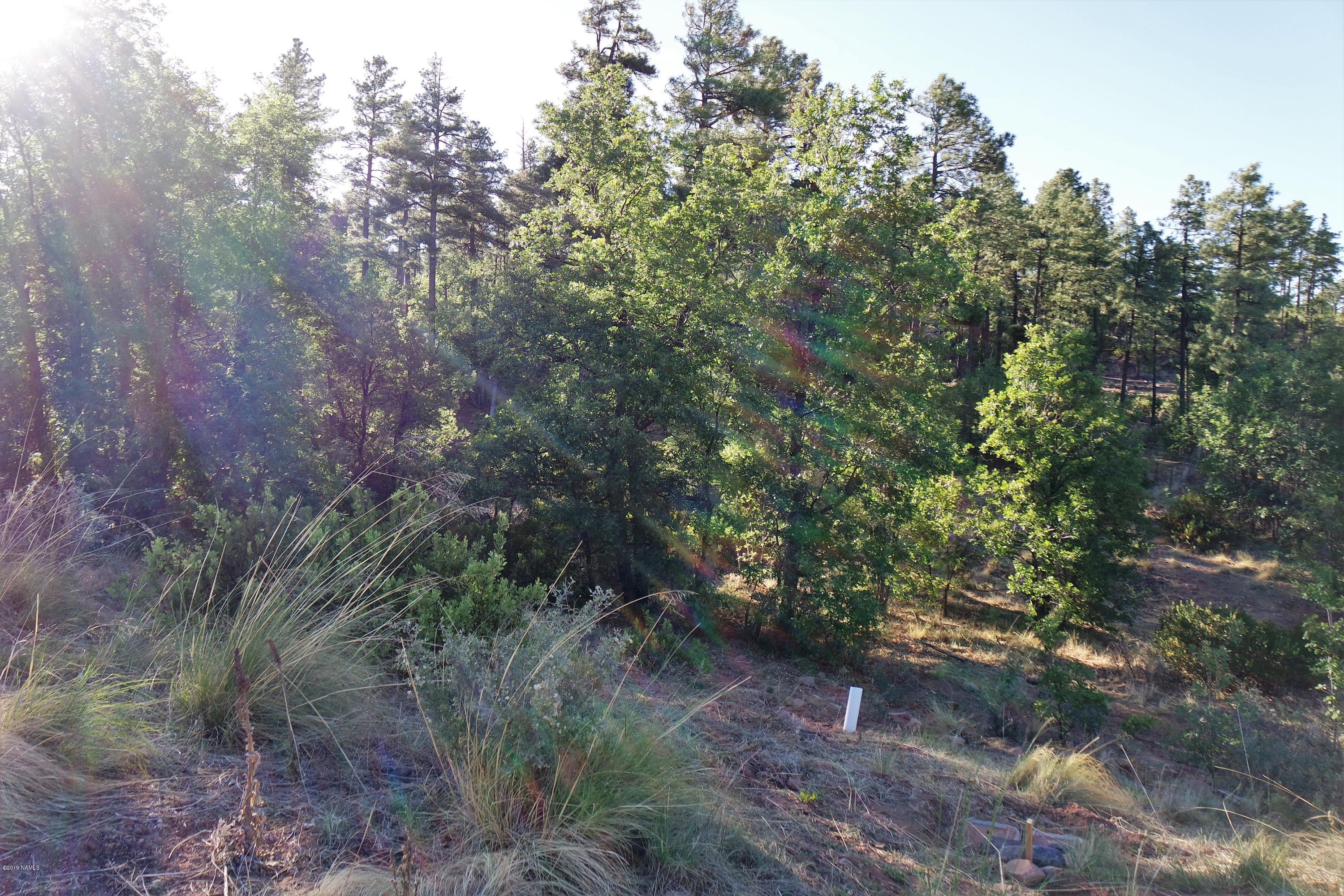 6023 Rim Road Show Low, AZ 85901 - Photo 2 of 10 Beautiful Lot