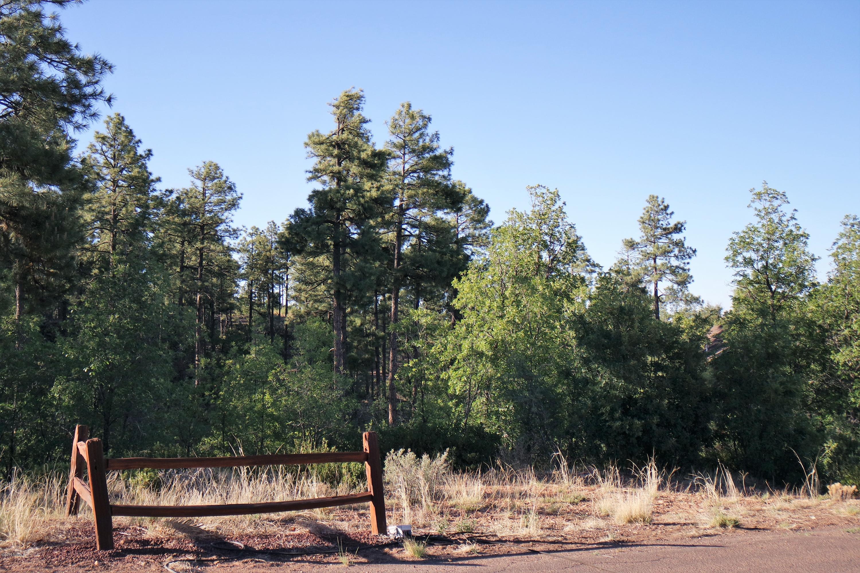 6023 Rim Road Show Low, AZ 85901 - Photo 6 of 10 Mature Trees