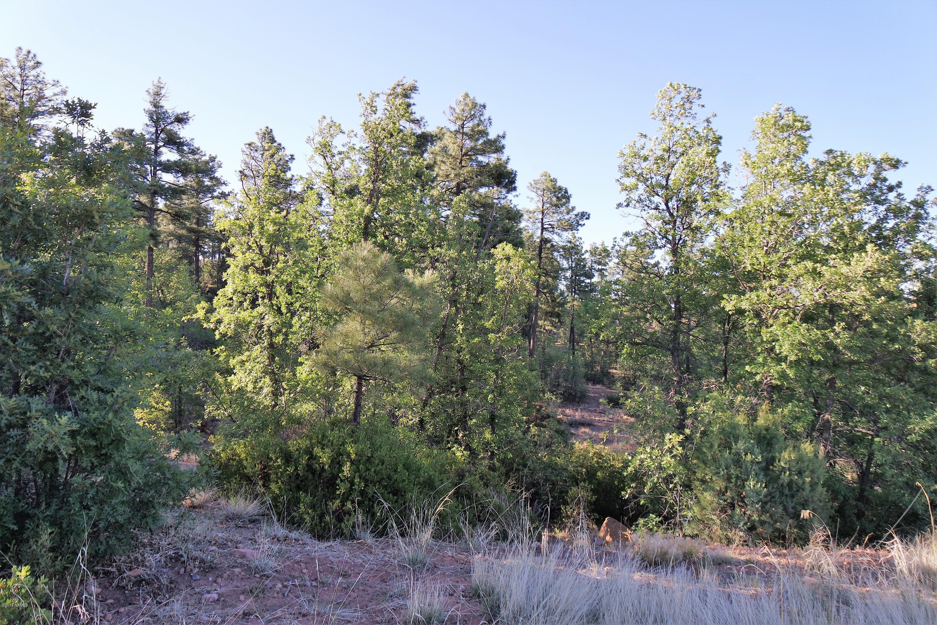 6023 Rim Road Show Low, AZ 85901 - Photo 7 of 10 Surrounded by Nature